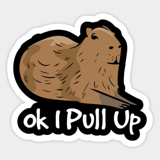 Ok I Pull Up Sticker